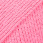 33 Rosa